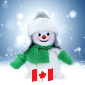 Meet your Posher, Tabitha